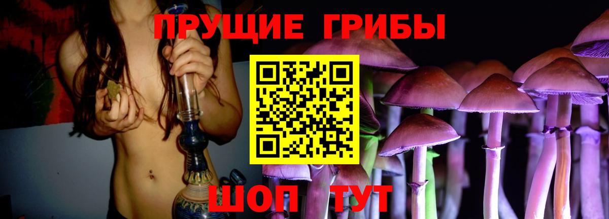 Псилоцибиновые грибы Cubensis  Вход с VPN  что такое   Галлюциногенные грибы Cubensis  Шебекино 